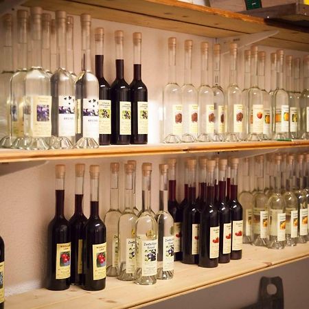Weinbau Pronegg Vlg. Krainz Appartement Leutschach Buitenkant foto