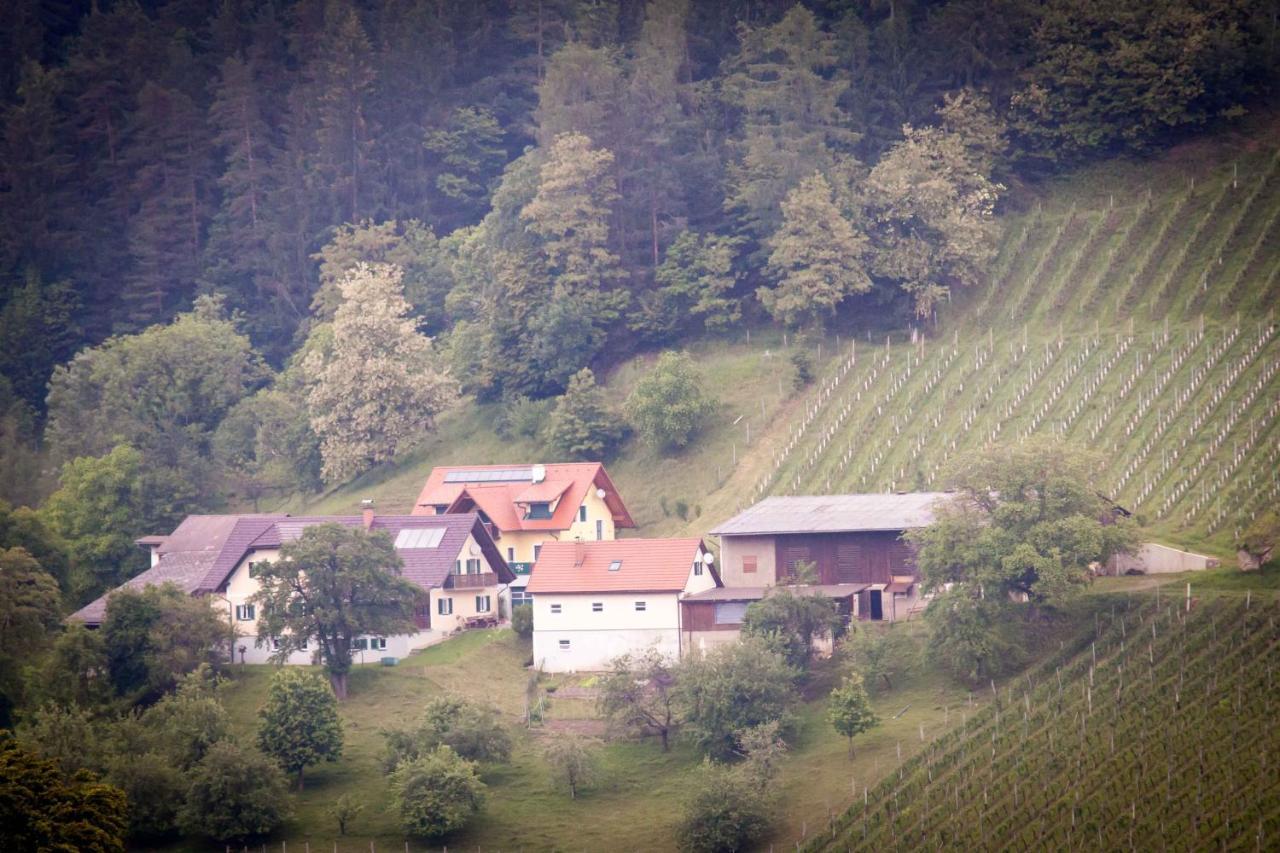 Weinbau Pronegg Vlg. Krainz Appartement Leutschach Buitenkant foto